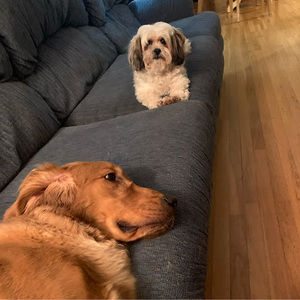 Meet your Posher, Jenna